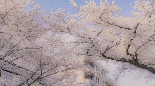 励志话语正能量简短 关于学习的名言名句