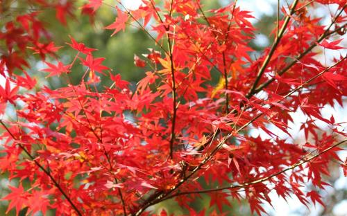 伤感的话语发朋友圈 新年祝福的话语送给朋友[24条]