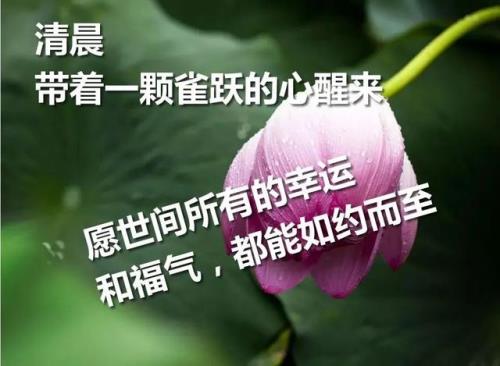 长辈去世送哀悼一句话 老年人去世哀悼词句