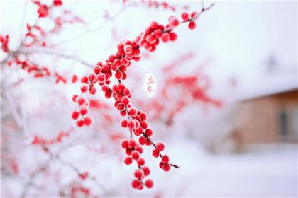 认真学习情感话语