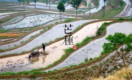 谈天谈地谈人生的句子