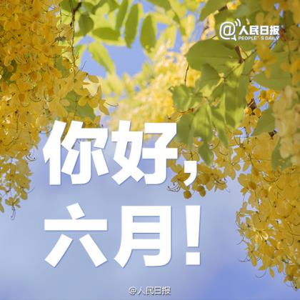 新的一年全新的开始精美语句