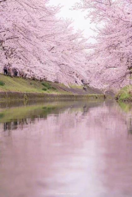 5月1日劳动节微信祝福寄语 五一节祝福语怎么说