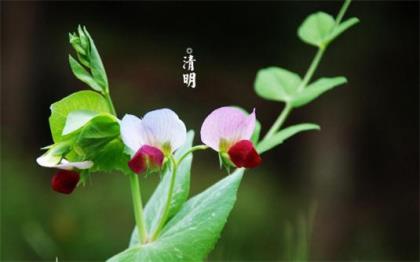 异地恋男朋友生日留言 给男老板的生日祝福语