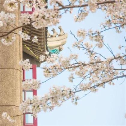 恭喜领导高升的礼物 怎么祝贺领导升职