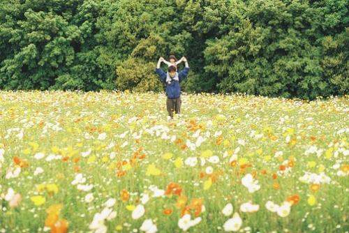 感悟人生哲理句子 奋斗说说大全哲理