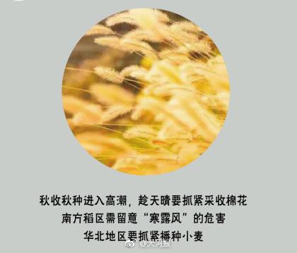 发给女朋友搞笑的短信 想念女朋友的幽默短信