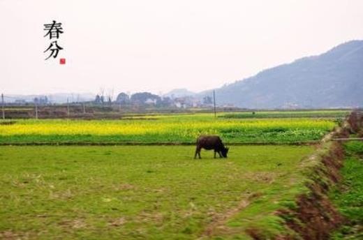 元旦送给老婆的话(60条)