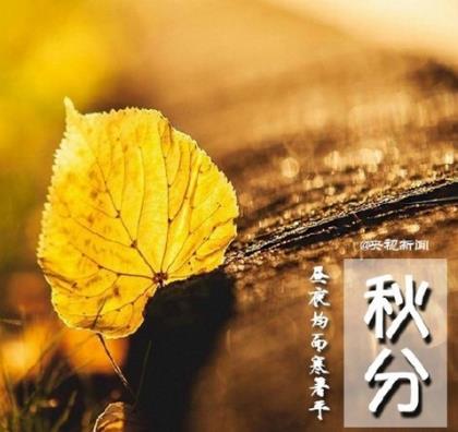 2023适合雨天发朋友圈的短句(40句)