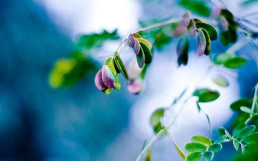 关于教师节经典祝福语 家长送给教师节祝福语