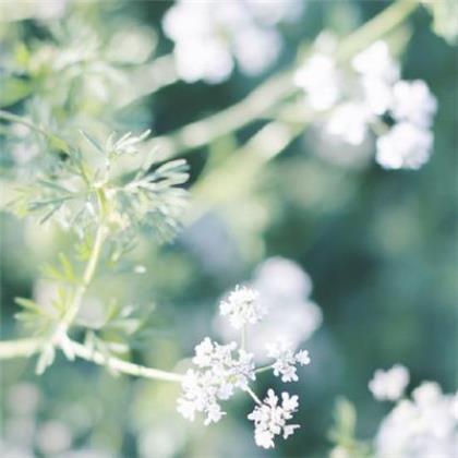 一起来看流星雨经典语录大全(20条)