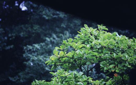 幽默的祝自己生日快乐 写给自己的生日祝福