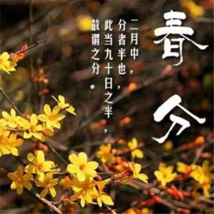 学校春节横幅标语