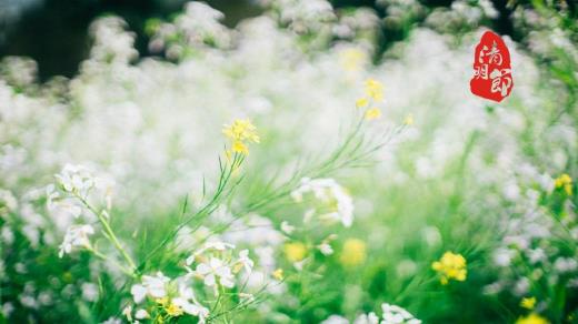 愚人节经典整蛊恶搞短信 五一劳动节节的来历