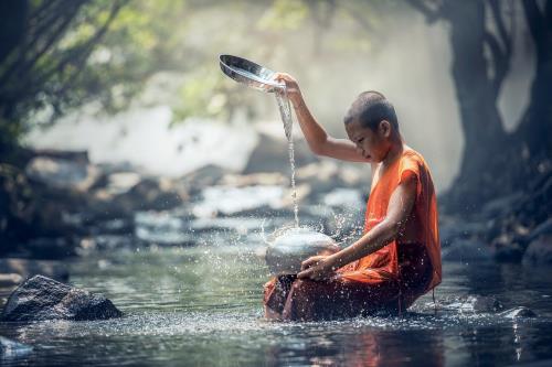 赞美春天的句子一年级