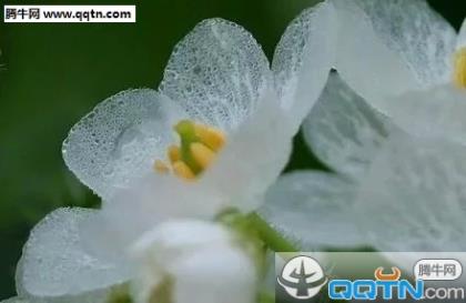 下雨想哭的说说心情 下雨时的心情和感受