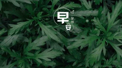 汽车活动宣传图片 汽车企业文化标语口号