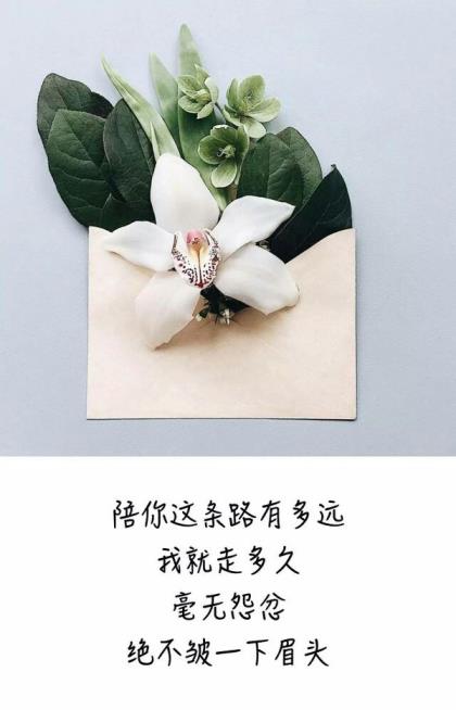 美术老师励志人生格言