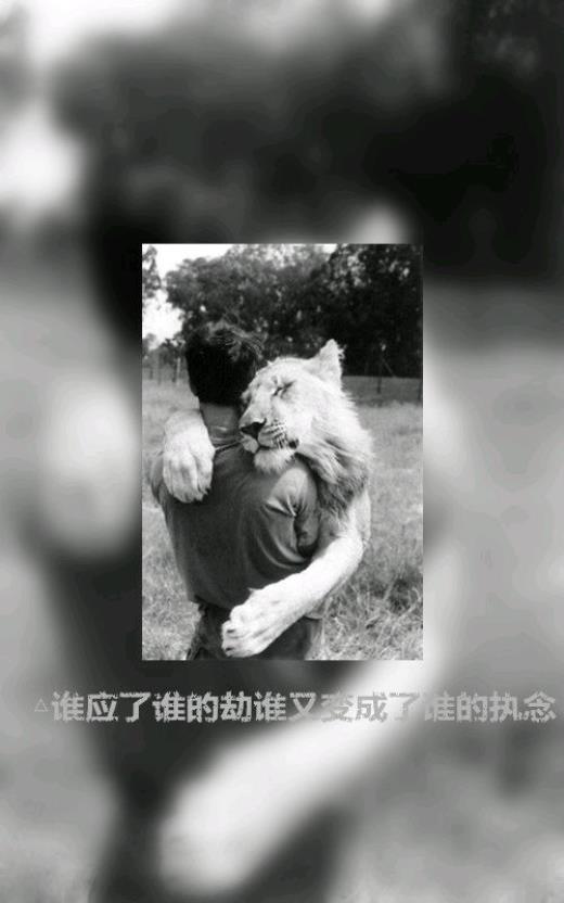 男人励志说说心情短语