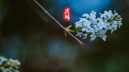 对亲姐姐结婚的祝福语 姐姐出嫁感人祝福语特别的